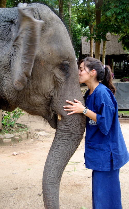 Susan kissing an elephant