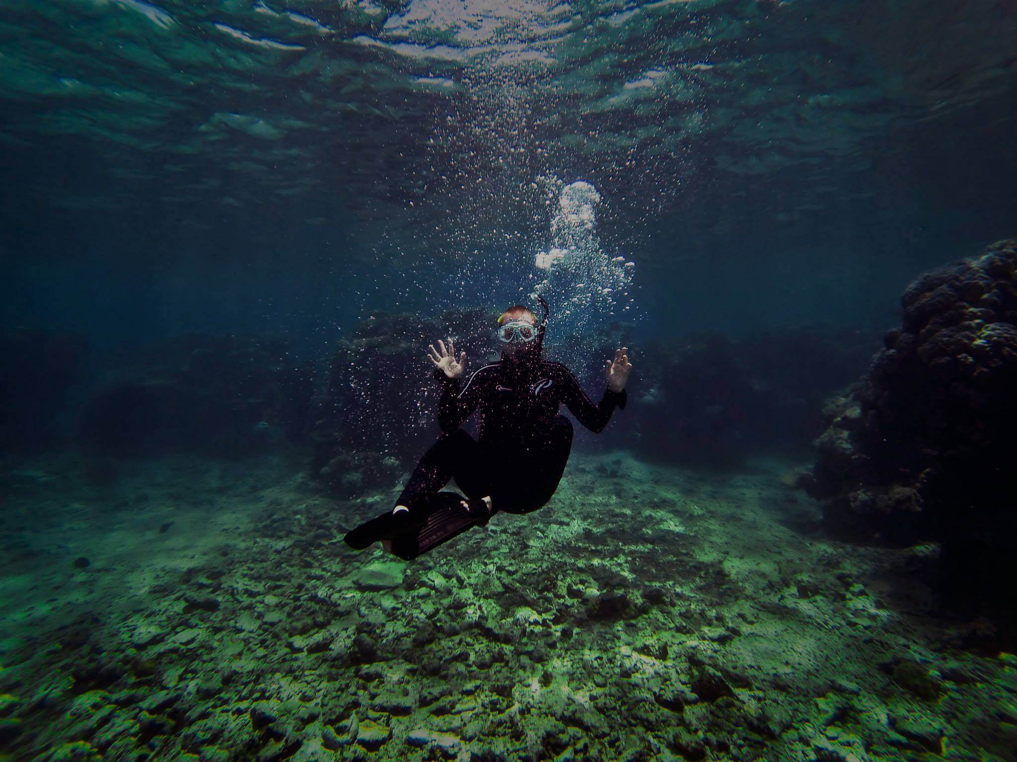 Anne Dorko diving