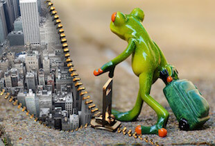 A frog carrying a suitcase, heading towards the big city.