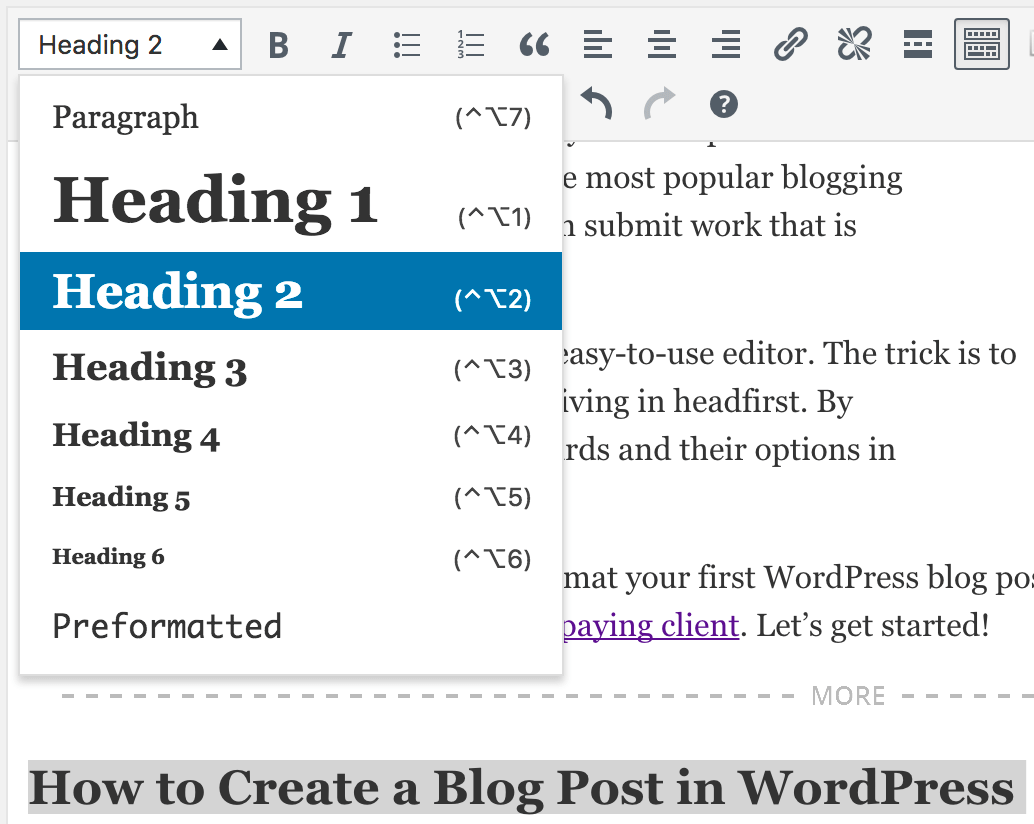 WordPress heading tag options