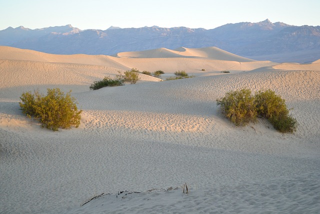 A desert.