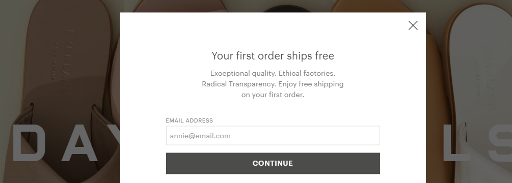 Everlane's opt in form.