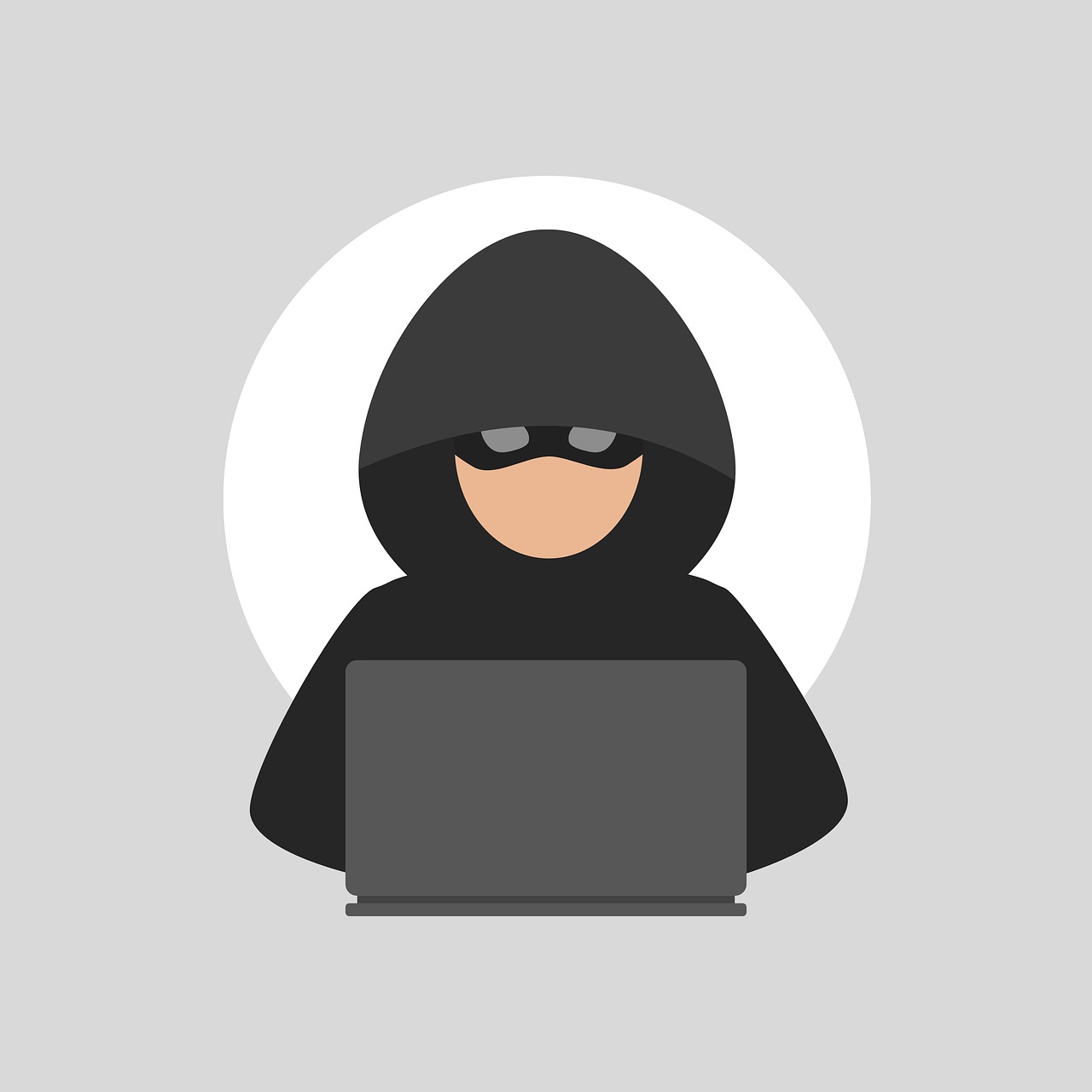 A thief using a computer.